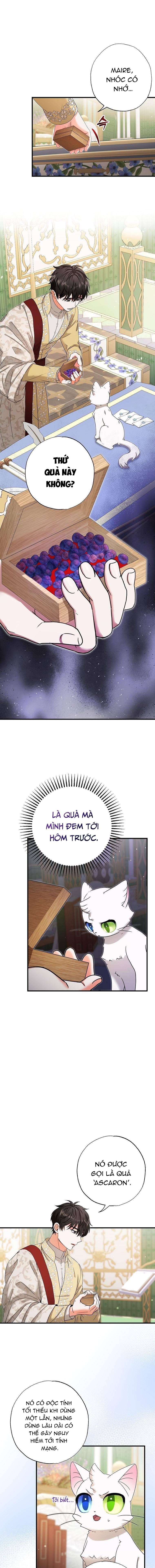 Trở Thành Miêu Nữ Của Hoàng Đế - Chapter 17 - Page 8