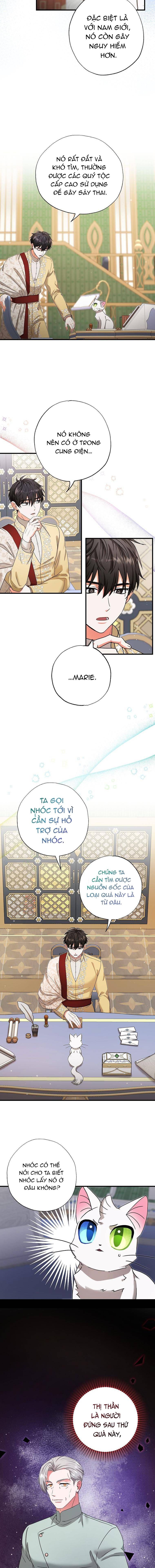 Trở Thành Miêu Nữ Của Hoàng Đế - Chapter 17 - Page 9