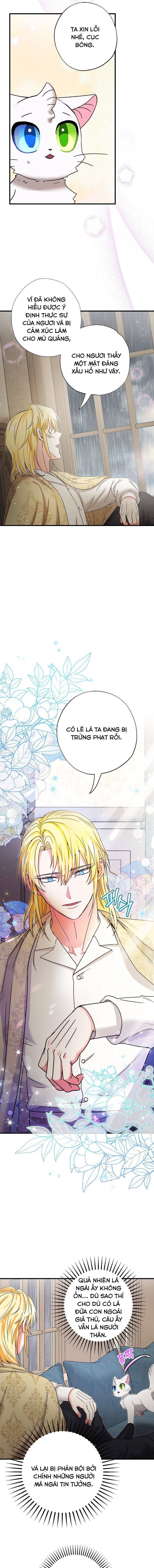 Trở Thành Miêu Nữ Của Hoàng Đế - Chapter 19 - Page 17