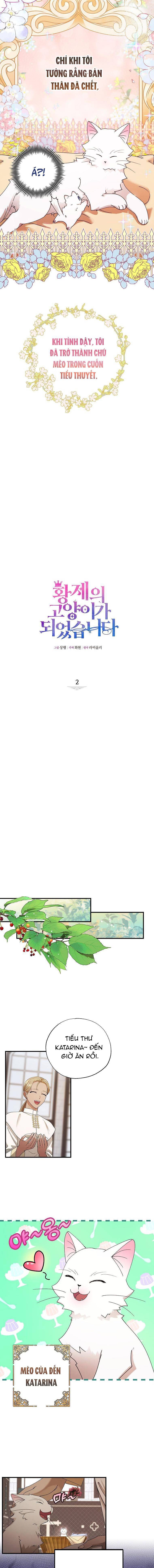 Trở Thành Miêu Nữ Của Hoàng Đế - Chapter 2 - Page 4