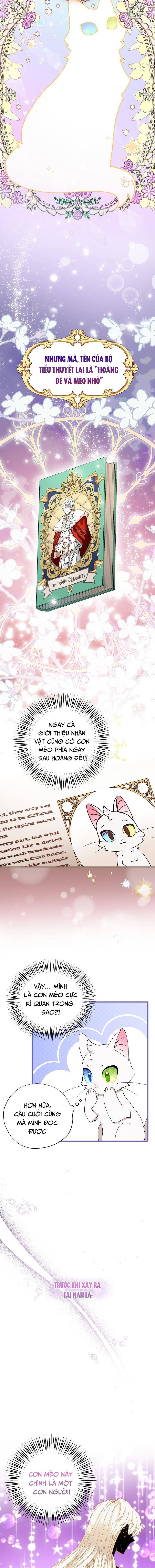 Trở Thành Miêu Nữ Của Hoàng Đế - Chapter 2 - Page 6