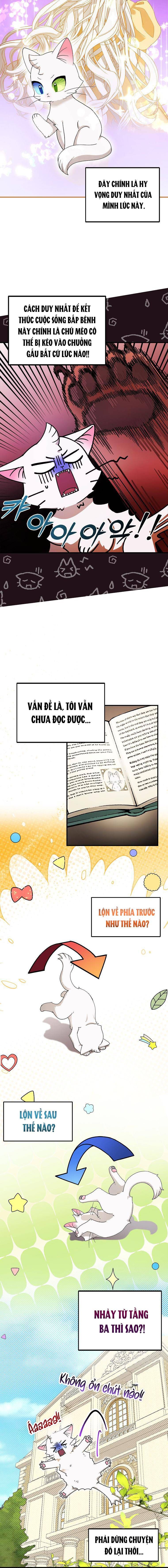 Trở Thành Miêu Nữ Của Hoàng Đế - Chapter 2 - Page 7