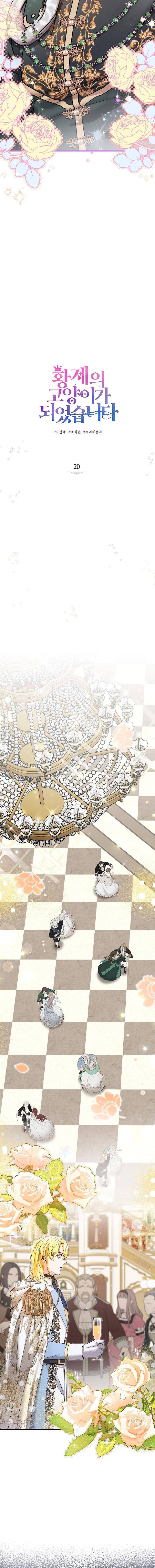 Trở Thành Miêu Nữ Của Hoàng Đế - Chapter 20 - Page 8