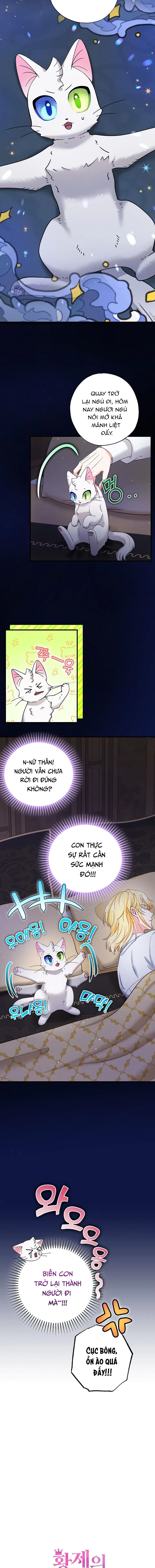 Trở Thành Miêu Nữ Của Hoàng Đế - Chapter 21 - Page 3