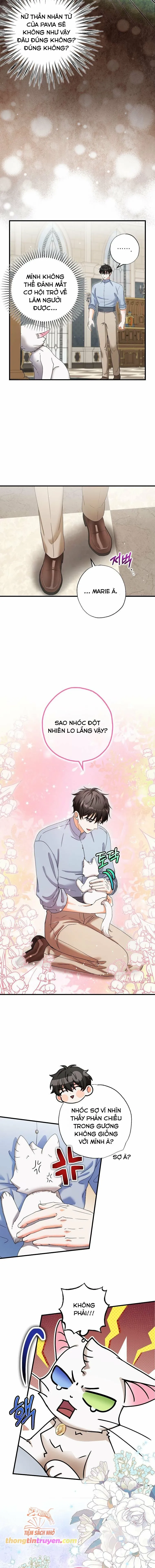 Trở Thành Miêu Nữ Của Hoàng Đế - Chapter 22 - Page 10