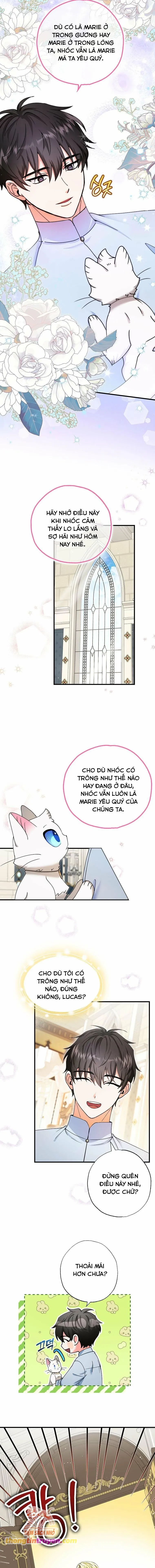 Trở Thành Miêu Nữ Của Hoàng Đế - Chapter 22 - Page 11