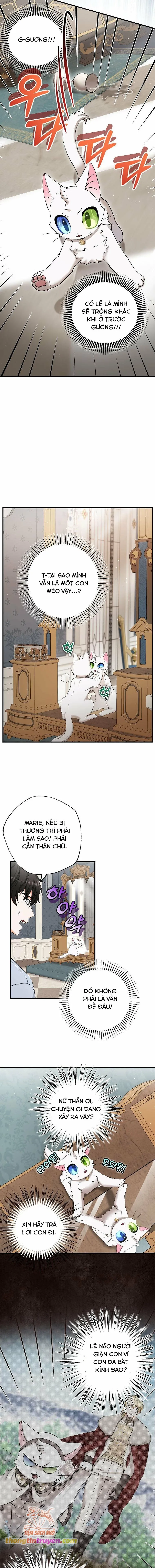 Trở Thành Miêu Nữ Của Hoàng Đế - Chapter 22 - Page 9