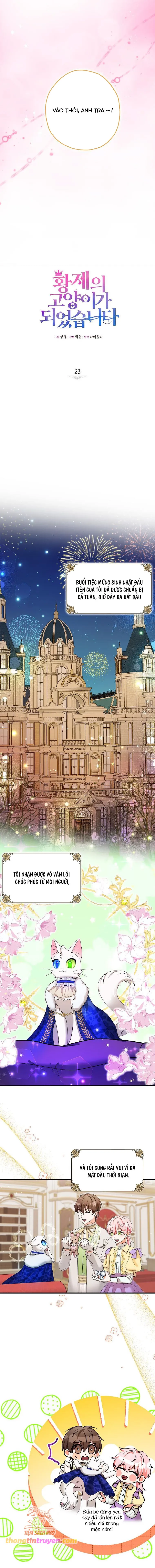 Trở Thành Miêu Nữ Của Hoàng Đế - Chapter 23 - Page 5