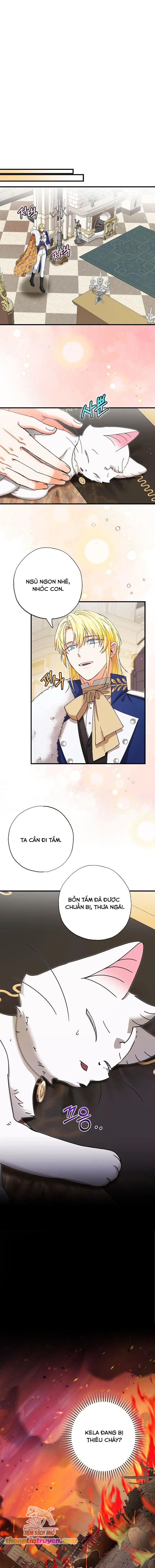 Trở Thành Miêu Nữ Của Hoàng Đế - Chapter 23 - Page 7