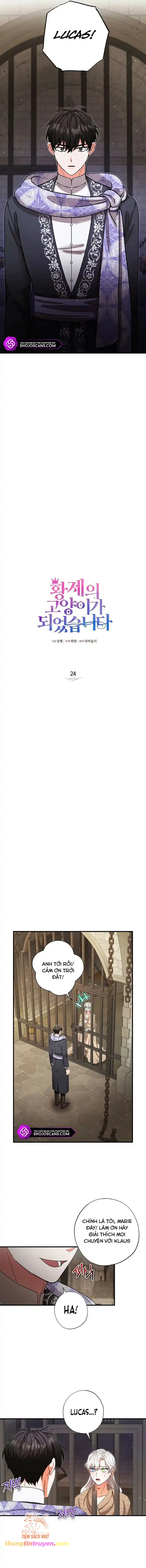 Trở Thành Miêu Nữ Của Hoàng Đế - Chapter 24 - Page 5