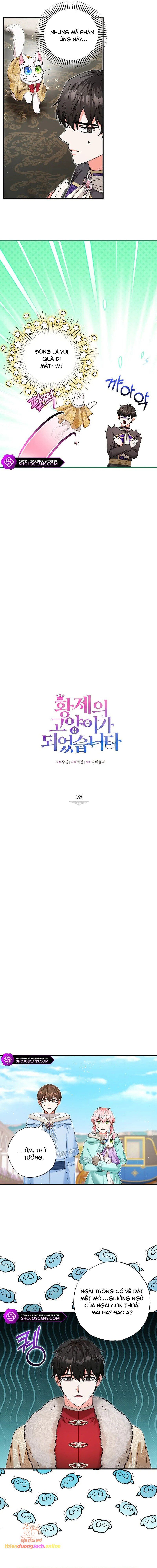 Trở Thành Miêu Nữ Của Hoàng Đế - Chapter 28 - Page 5