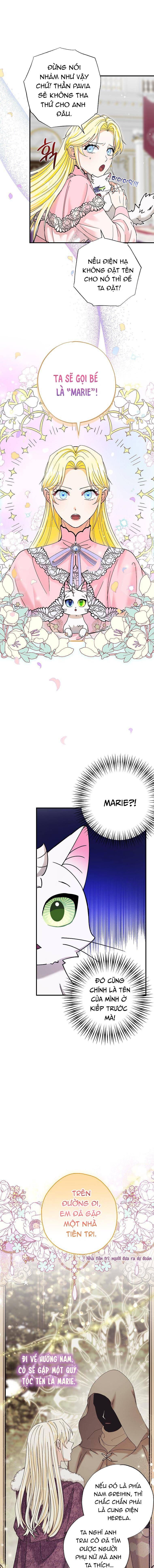 Trở Thành Miêu Nữ Của Hoàng Đế - Chapter 3 - Page 8