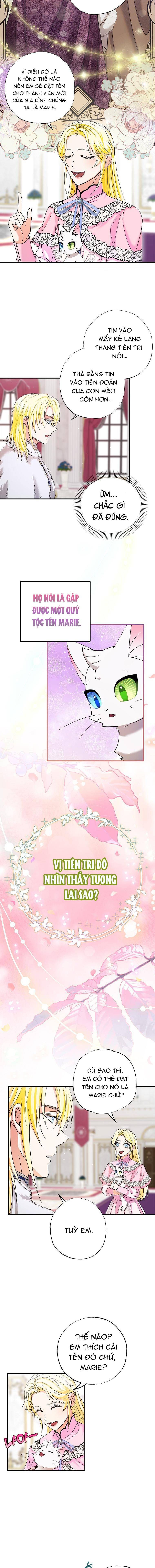 Trở Thành Miêu Nữ Của Hoàng Đế - Chapter 3 - Page 9