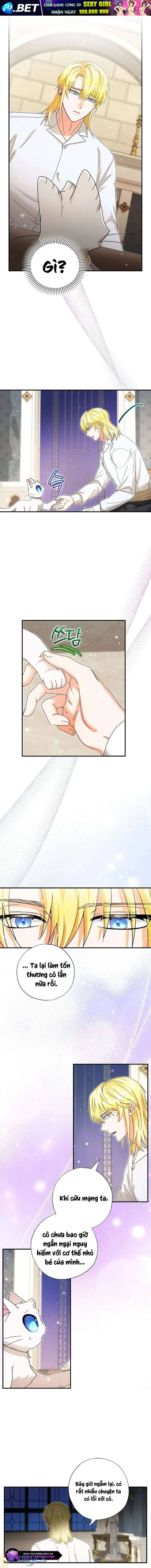 Trở Thành Miêu Nữ Của Hoàng Đế - Chapter 36 - Page 6