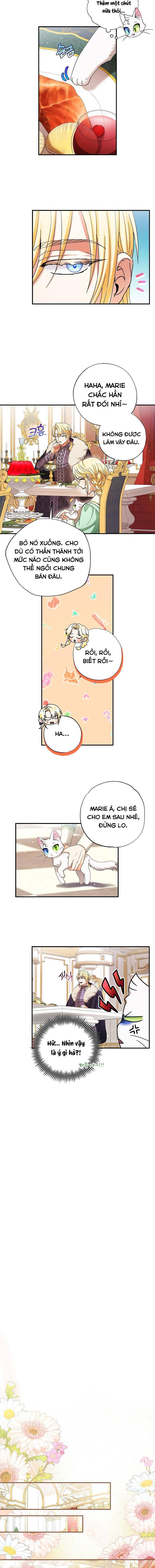 Trở Thành Miêu Nữ Của Hoàng Đế - Chapter 4 - Page 4