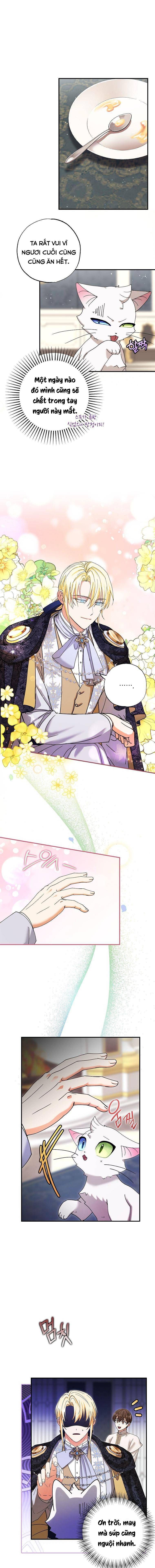 Trở Thành Miêu Nữ Của Hoàng Đế - Chapter 5 - Page 10