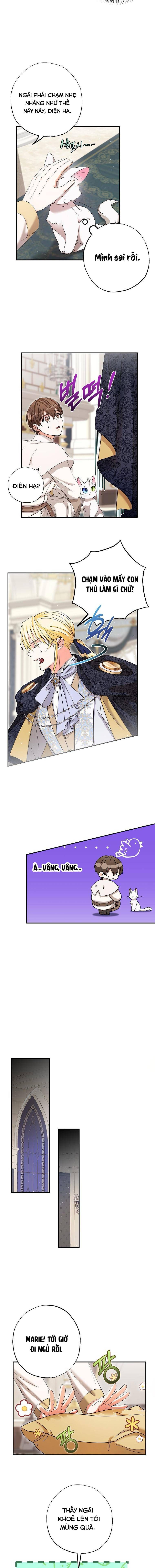 Trở Thành Miêu Nữ Của Hoàng Đế - Chapter 5 - Page 11