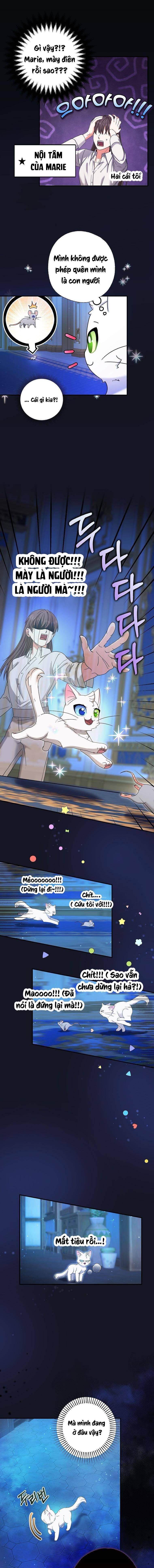 Trở Thành Miêu Nữ Của Hoàng Đế - Chapter 5 - Page 13
