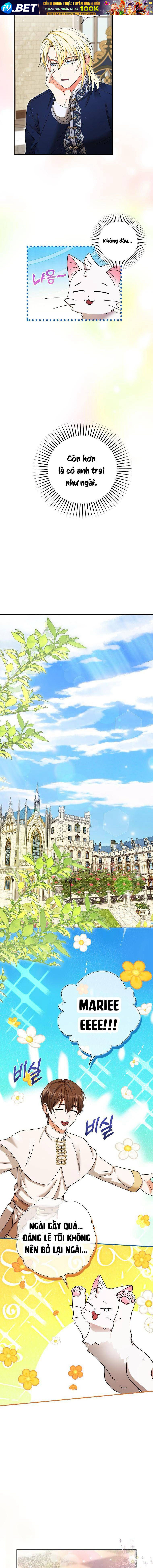 Trở Thành Miêu Nữ Của Hoàng Đế - Chapter 5 - Page 6