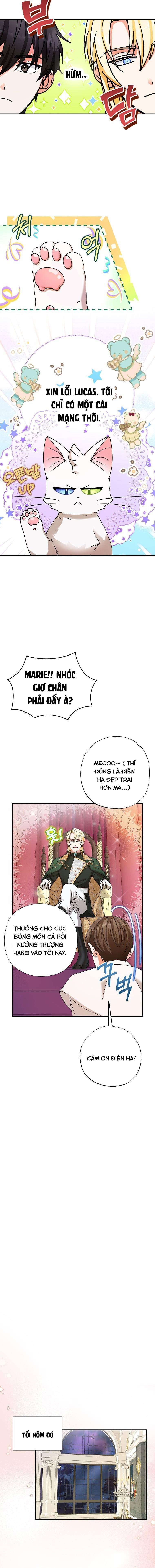 Trở Thành Miêu Nữ Của Hoàng Đế - Chapter 6 - Page 14