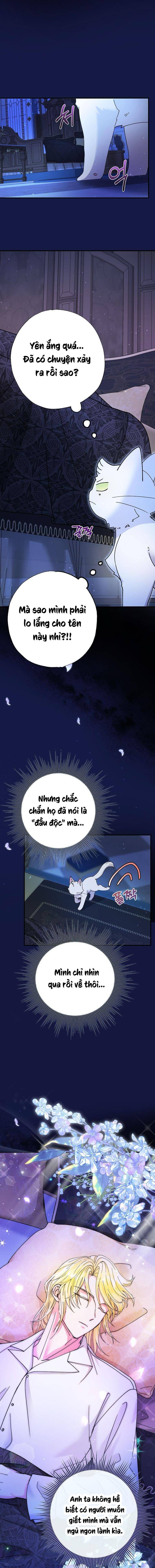 Trở Thành Miêu Nữ Của Hoàng Đế - Chapter 6 - Page 3