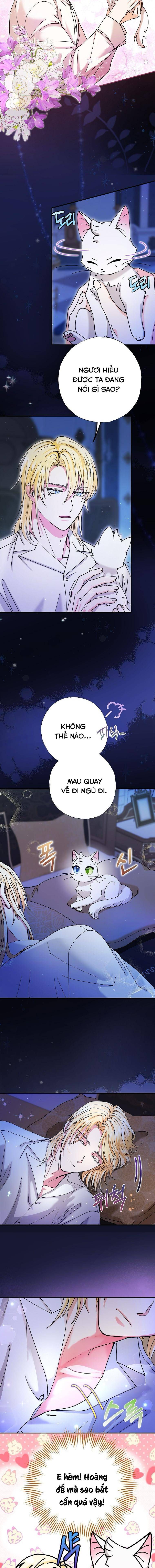 Trở Thành Miêu Nữ Của Hoàng Đế - Chapter 6 - Page 5