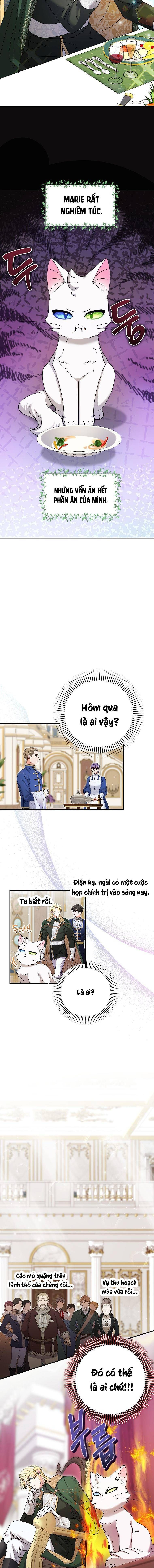 Trở Thành Miêu Nữ Của Hoàng Đế - Chapter 6 - Page 9