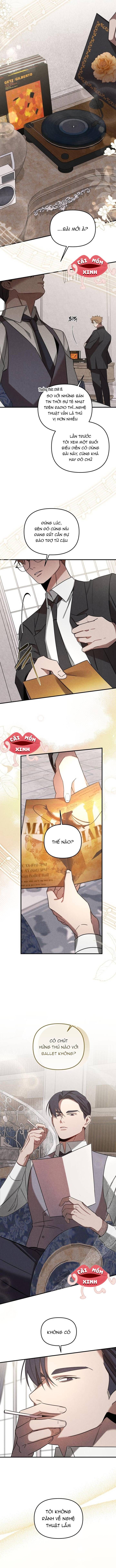 Nơi Đóa Hồng Vàng Úa Tàn - Chapter 0 - Page 5