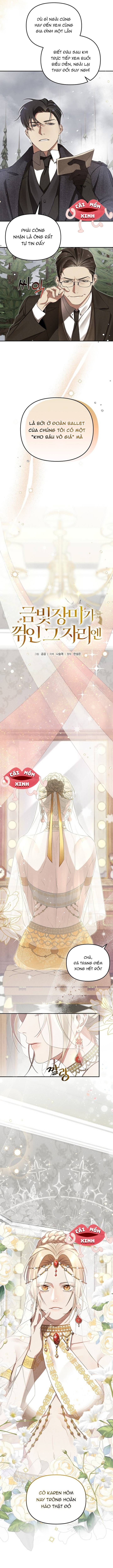 Nơi Đóa Hồng Vàng Úa Tàn - Chapter 1 - Page 3