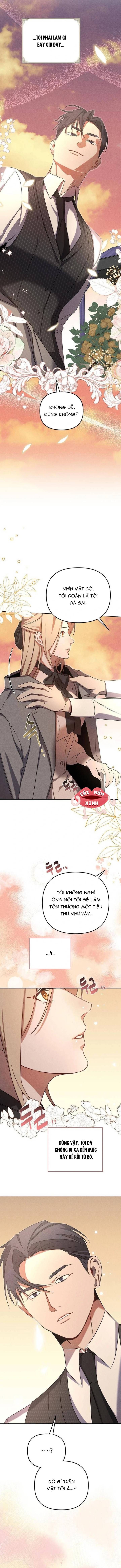 Nơi Đóa Hồng Vàng Úa Tàn - Chapter 8 - Page 11