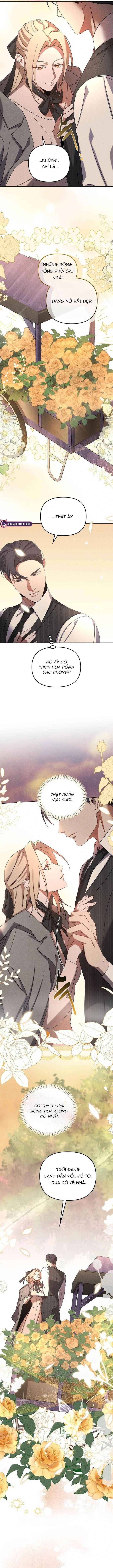 Nơi Đóa Hồng Vàng Úa Tàn - Chapter 8 - Page 12