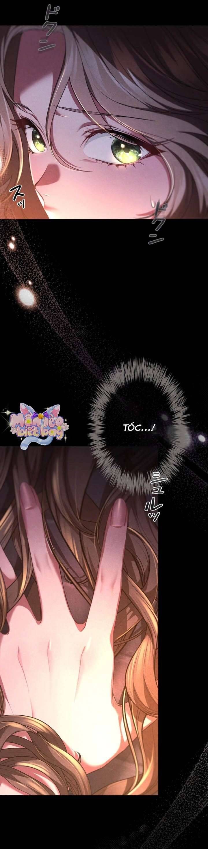 Sát Nhân Nhắm Tới Tiểu Thư Tóc Nâu - Chapter 1 - Page 5