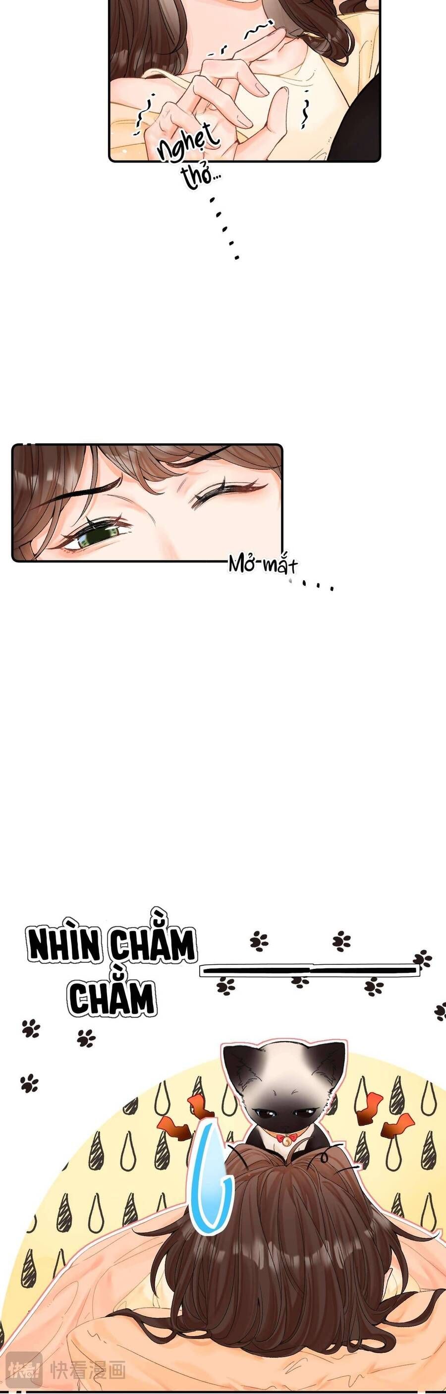 Xin Người Hãy Chăm Sóc Cho Em - Chapter 8 - Page 21