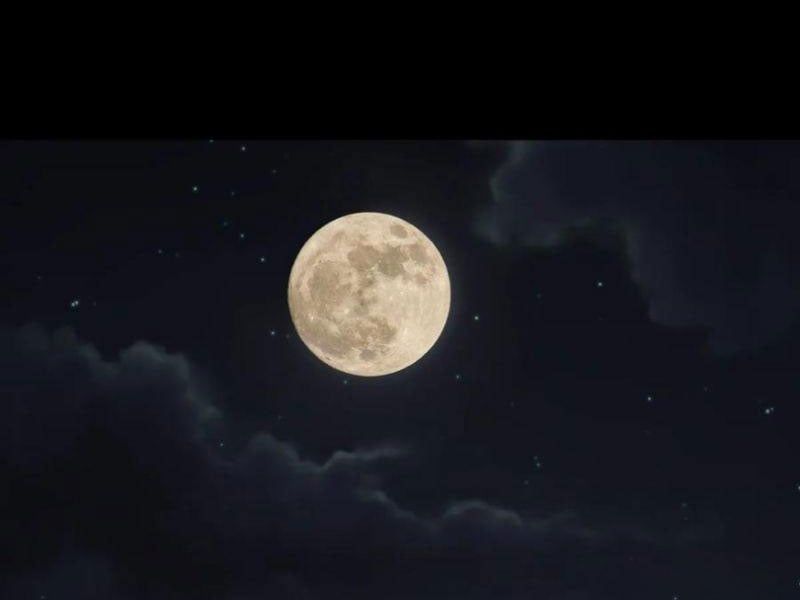 Sau Khi Đầu Thai, Ta Được Kẻ Thù Khắc Thành Vô Địch - Chapter 17 - Page 57