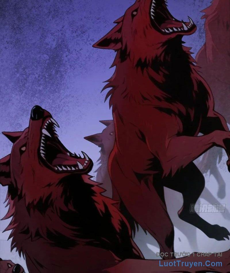 Sau Khi Đầu Thai, Ta Được Kẻ Thù Khắc Thành Vô Địch - Chapter 22 - Page 43