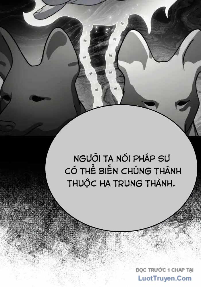 Đa Sắc Ma Pháp Sư Thiên Tài - Chapter 52 - Page 14