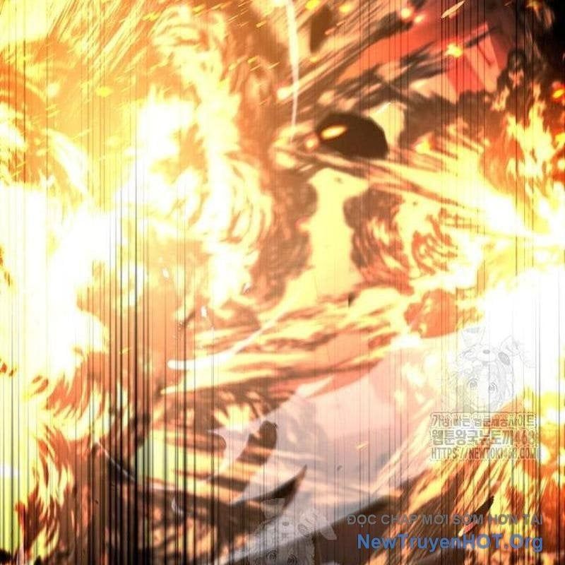 Kim Chiến Sĩ: Hành Trình Xây Dựng Đặc Tính - Chapter 52 - Page 224