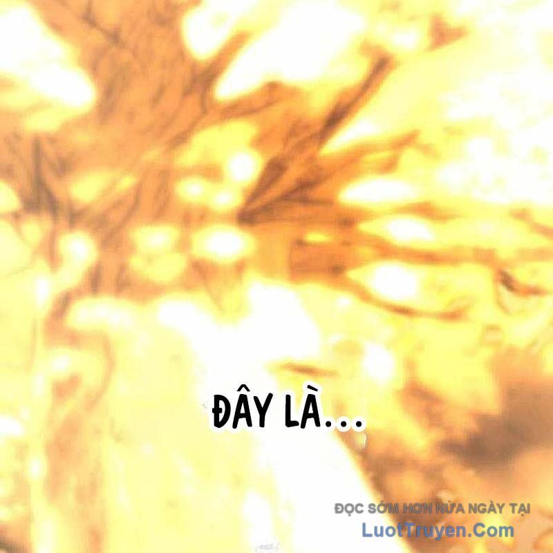 Kim Chiến Sĩ: Hành Trình Xây Dựng Đặc Tính - Chapter 57 - Page 159