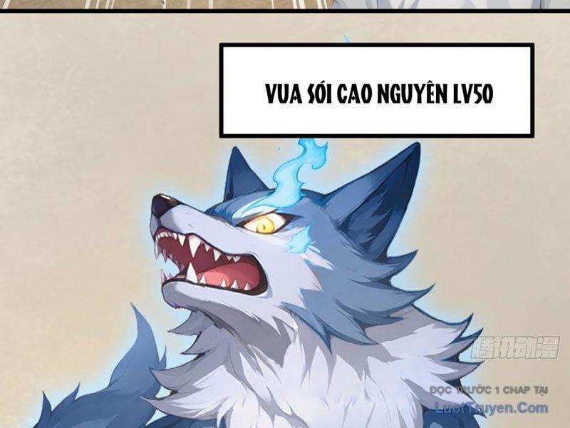 Thái Cổ Thập Hung: Người Khác Ngự Thú Ta Ngự Thú Nương - Chapter 58 - Page 74