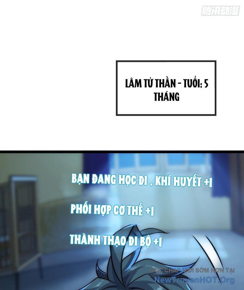 Tiến Hóa Vô Hạn Bắt Đầu Từ Con Số Không - Chapter 1 - Page 27