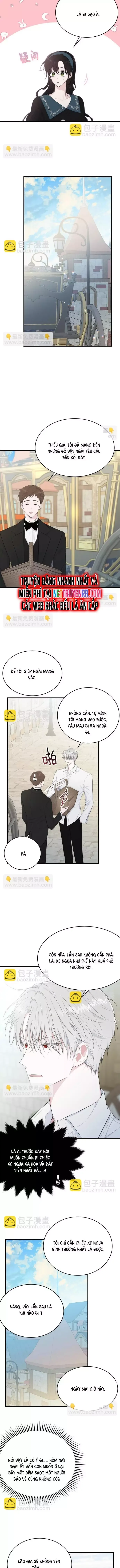 Tiểu Thư Mà Tôi Phục Vụ Biến Thành Thiếu Gia Rồi - Chapter 47 - Page 8