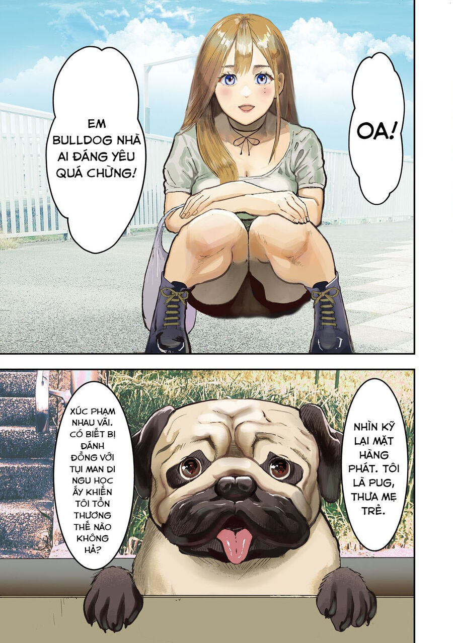 Innu - Chú Chó Bá Đạo - Chapter 1 - Page 3