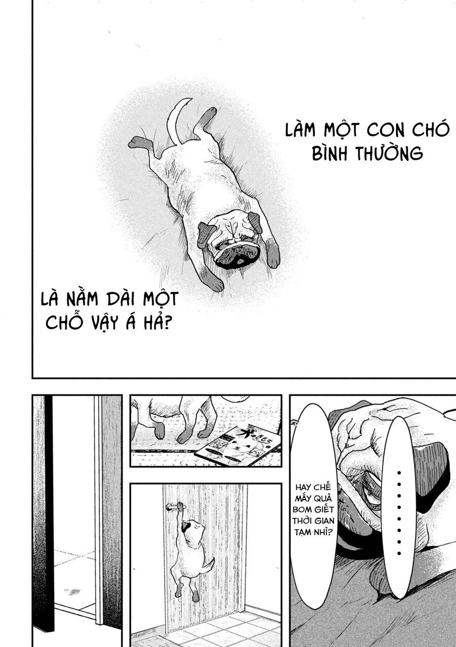 Innu - Chú Chó Bá Đạo - Chapter 2 - Page 8