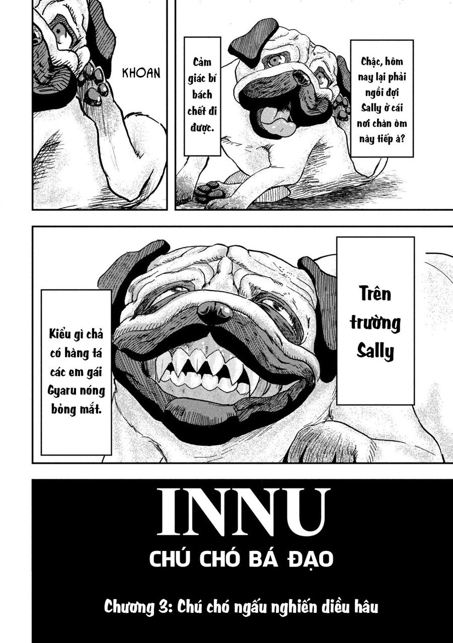 Innu - Chú Chó Bá Đạo - Chapter 3 - Page 3