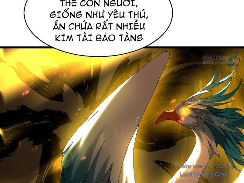 Thực Sự Có Người Cho Rằng Tu Tiên Khó Sao? - Chapter 20 - Page 12