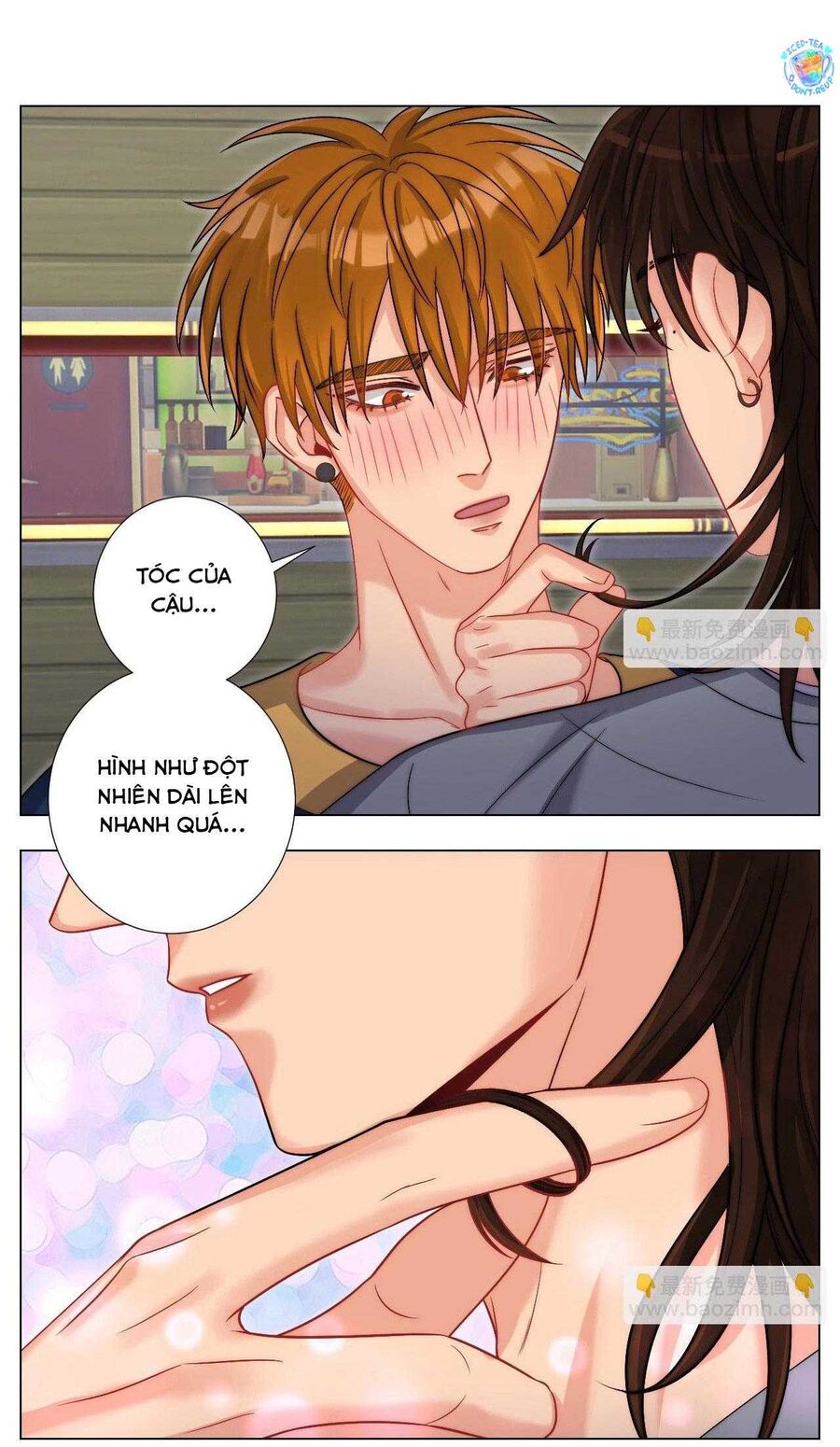 Ký Túc Xá Nam Phòng 303 - Chapter 253 - Page 5