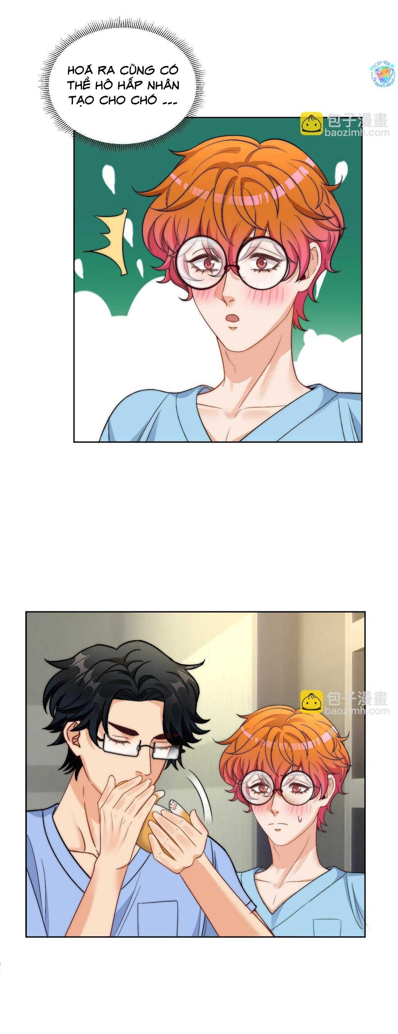 Ký Túc Xá Nam Phòng 303 - Chapter 255 - Page 15