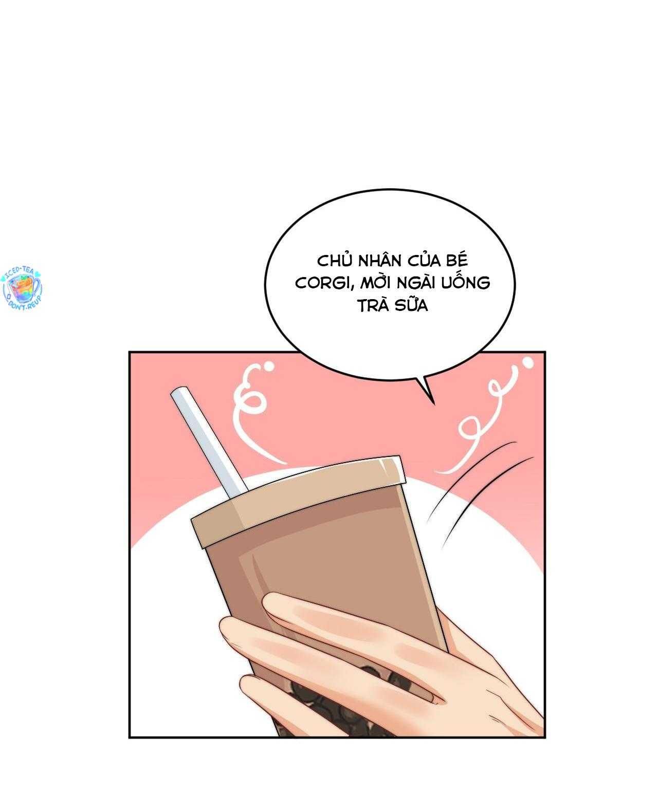 Ký Túc Xá Nam Phòng 303 - Chapter 256 - Page 4