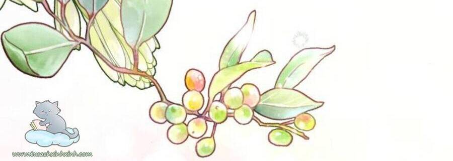 Hoàng Hậu Tái Hôn - Chapter 112 - Page 52