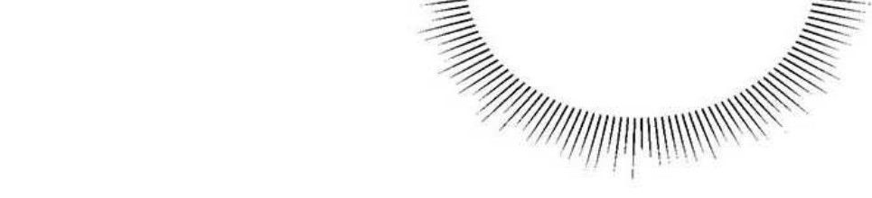 Hoàng Hậu Tái Hôn - Chapter 14 - Page 16